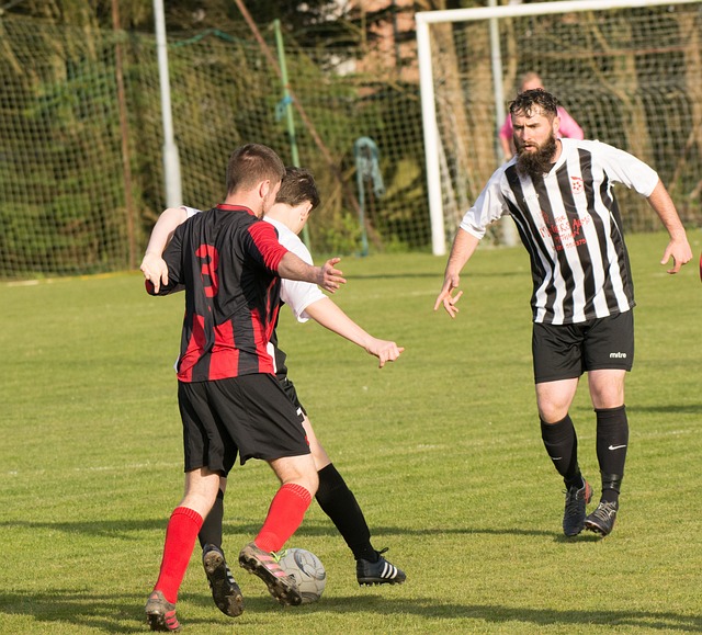 来自德甲的 来自德甲的