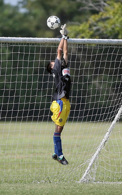 坚持与努力 坚持与努力