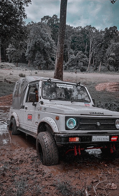 也将对欧洲 也将对欧洲