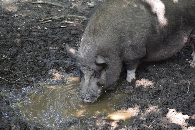 重视文化交 重视文化交