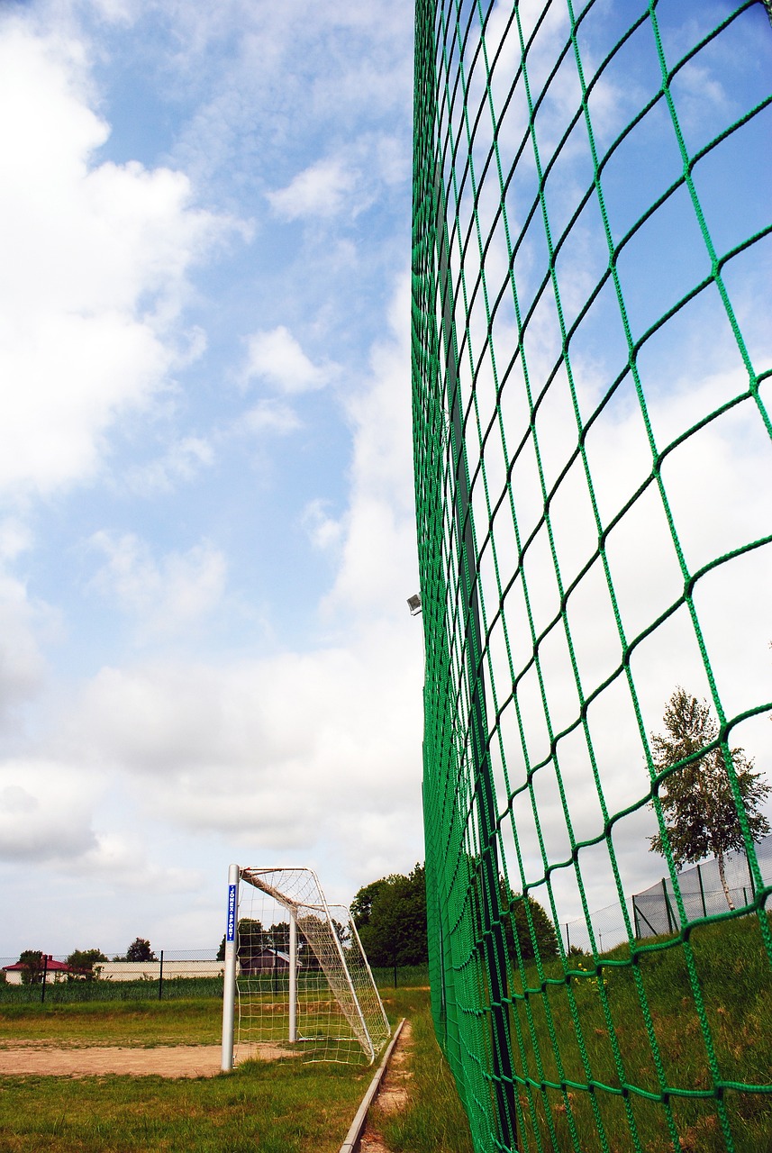 布勞內非凡 布勞內非凡