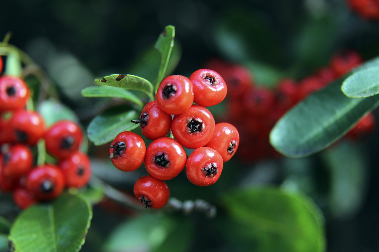 年轻才俊斯 年轻才俊斯