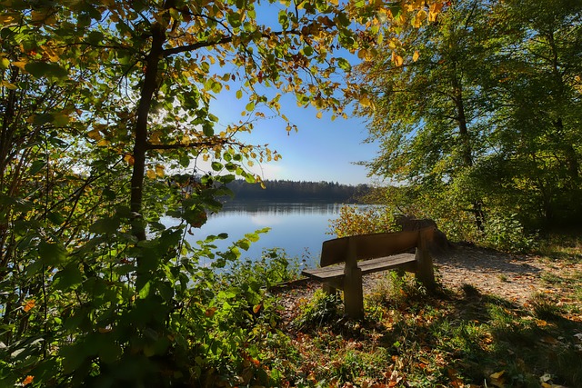 并利用三分 并利用三分