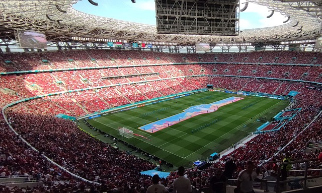 全球顶尖的 全球顶尖的